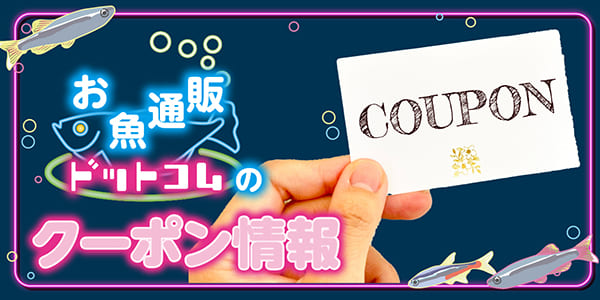 お魚通販ドットコムのクーポン情報