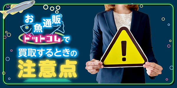 お魚通販ドットコムで買取するときの注意点